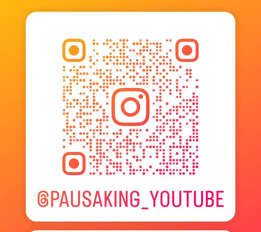 INSTAGRAM PAUSAKING 